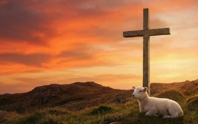 Behold The Lamb