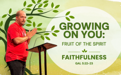 Faithfulness