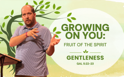 Gentleness